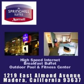 Spring Hill Suites
