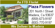 Plaza Flowers