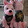 Madera County Sheriff’s Pink Patch Campaign Brings Law Enforcement and Community Together to Fight Breast Cancer